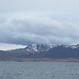 iceland-whale-watching-041