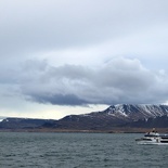 iceland-whale-watching-042