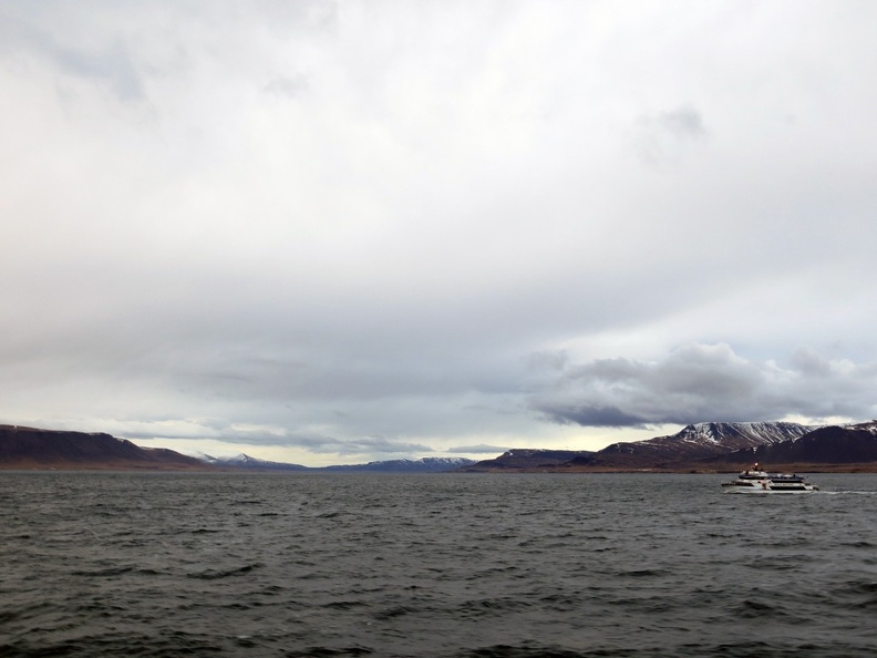 iceland-whale-watching-043