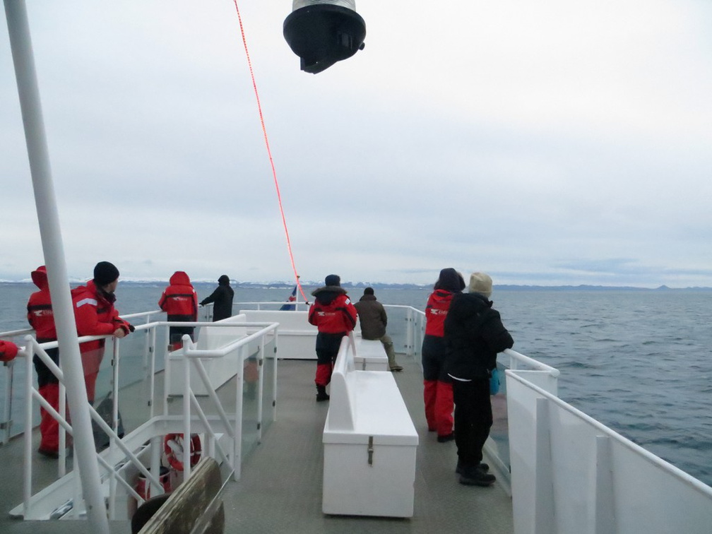 iceland-whale-watching-044