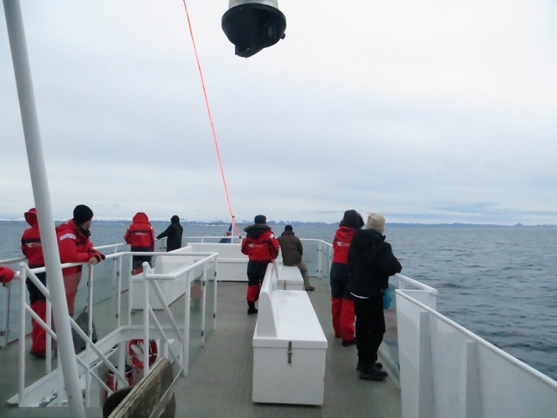 iceland-whale-watching-044.jpg