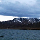 iceland-whale-watching-053