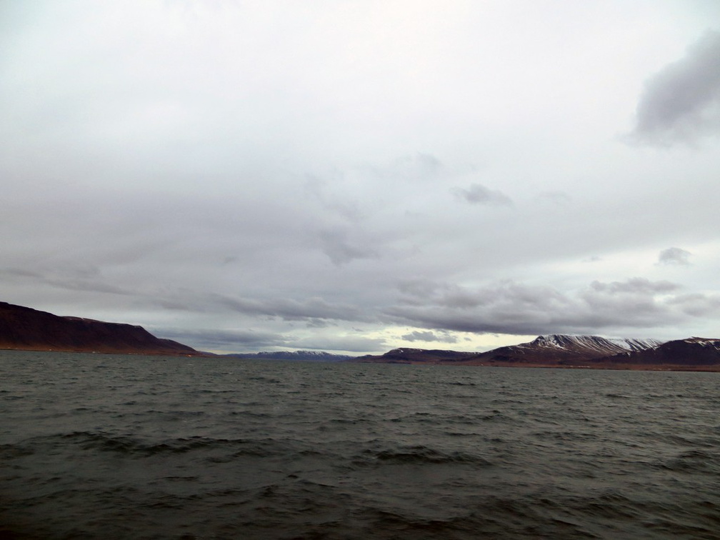 iceland-whale-watching-060