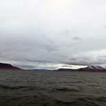 iceland-whale-watching-060