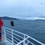 iceland-whale-watching-062.jpg
