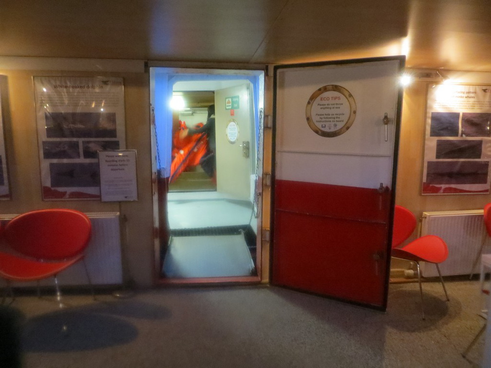 iceland-whale-watching-078