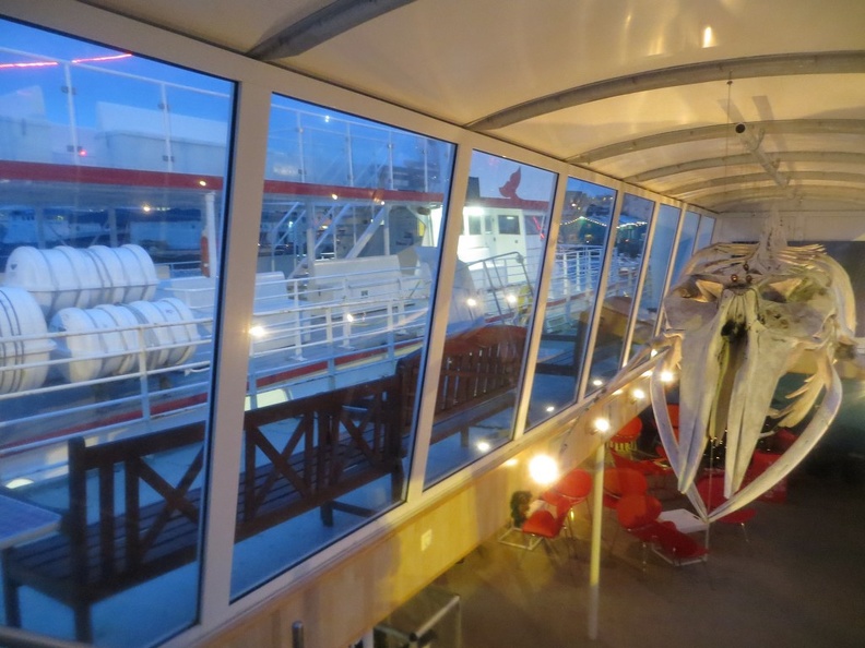 iceland-whale-watching-082