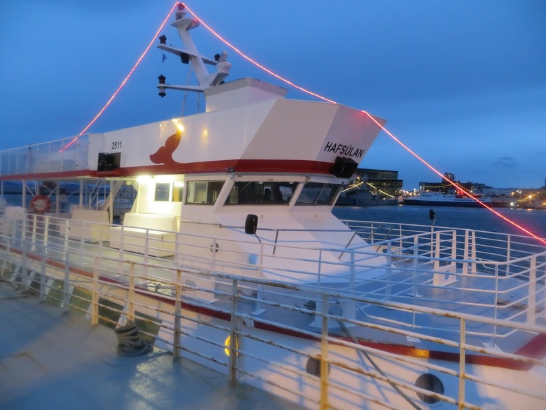 iceland-whale-watching-083