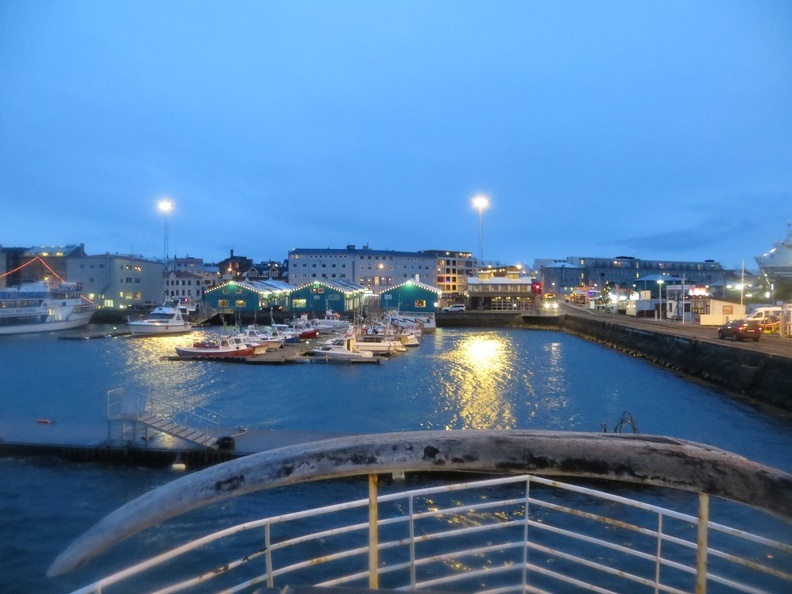 iceland-whale-watching-084