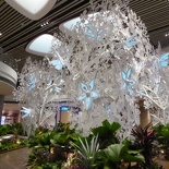 changi-terminal4-t4-131