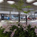 changi-terminal4-t4-018