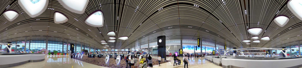 changi-terminal4-checkin