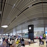 changi-terminal4-checkin