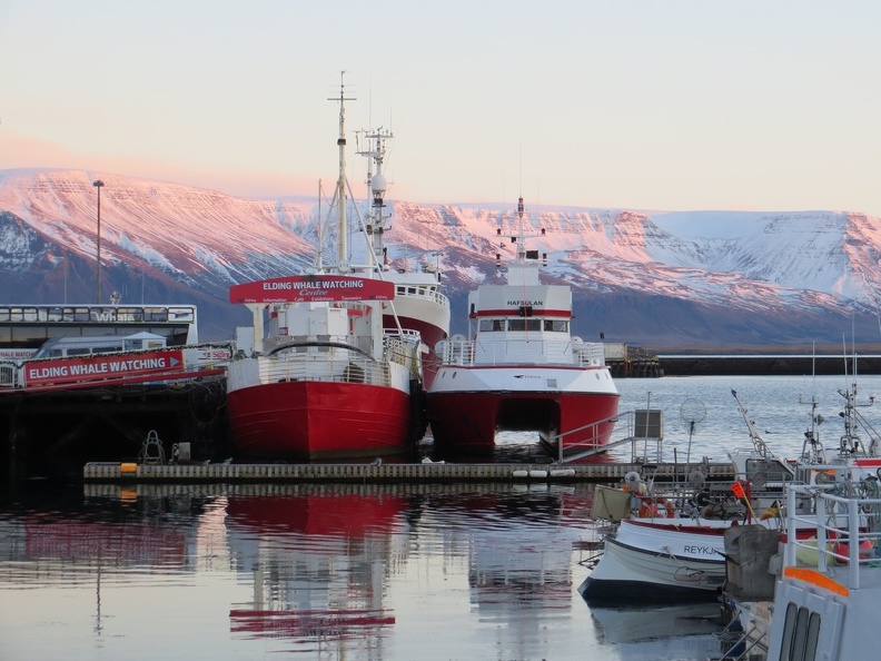 iceland-reykjavik-029.jpg