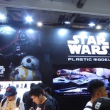 stgcc-2017-069