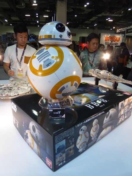 stgcc-2017-165.jpg