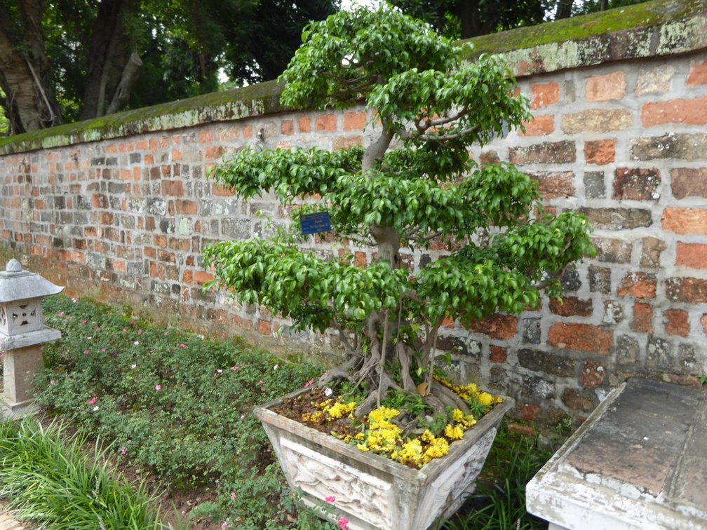 hanoi-confucius-temple-literature-015