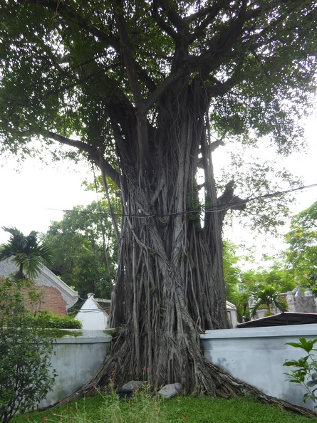 hanoi-confucius-temple-literature-038