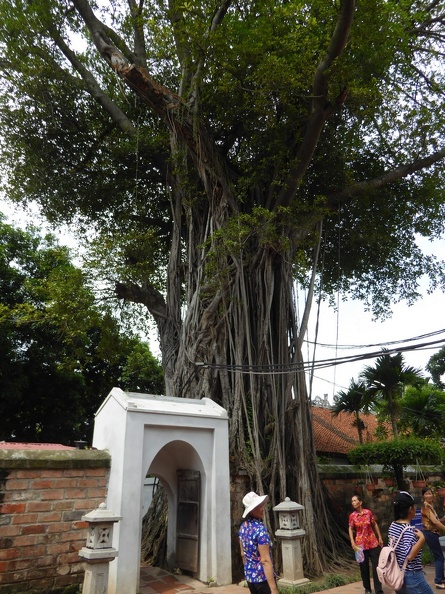 hanoi-confucius-temple-literature-074