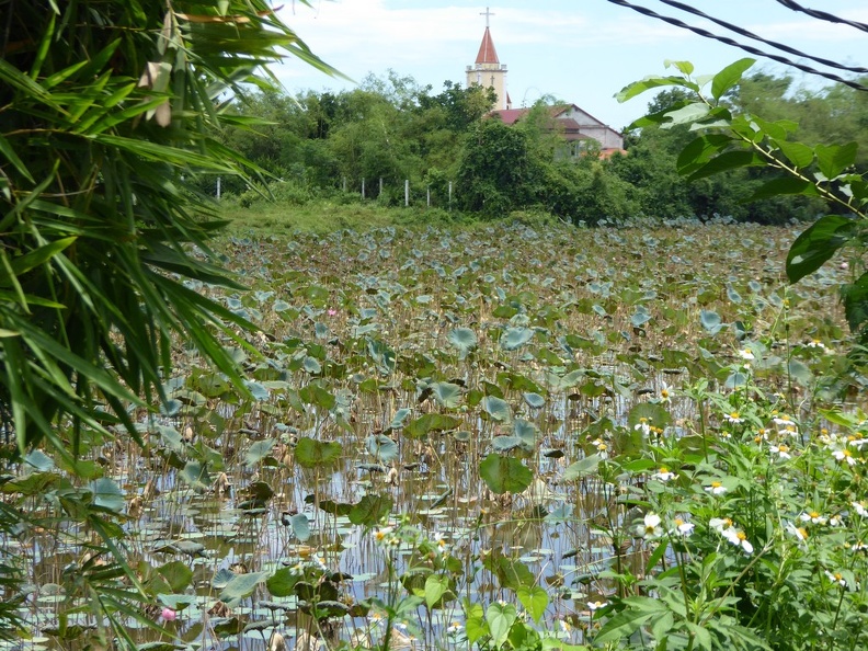 phuoc-tich-village-17-028