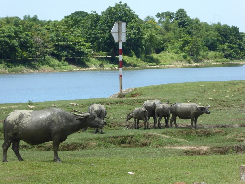 phuoc-tich-village-17-046