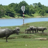 phuoc-tich-village-17-046