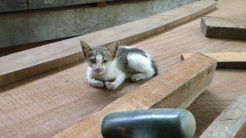 phuoc-tich-village-17-050