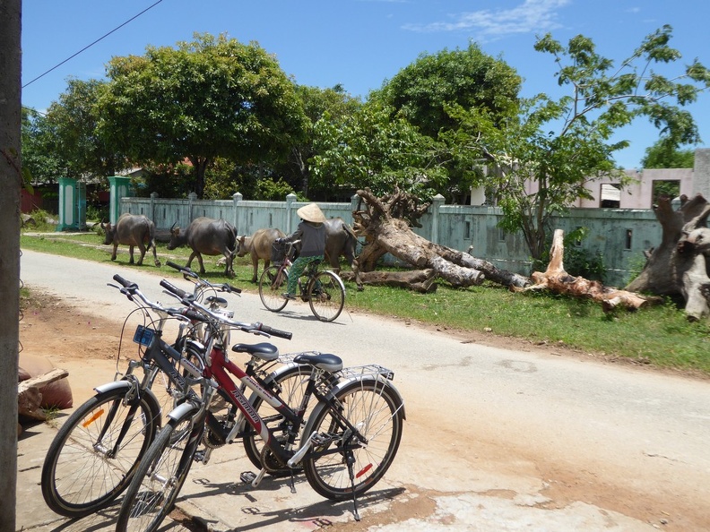 phuoc-tich-village-17-066