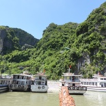 vietnam-ha-long-bay-2017-093