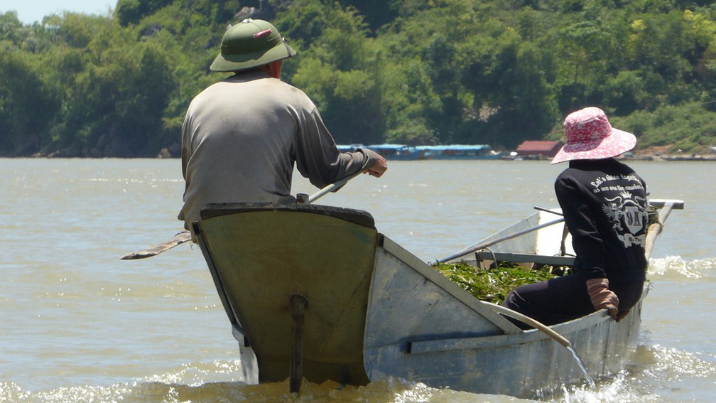 vietnam-phongnha-2017-007