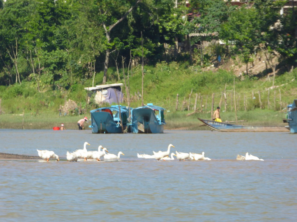 vietnam-phongnha-2017-086