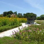 hue-imperial-citadel-vietnam-049