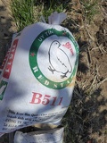 hoi-an-farm-vege-fish-008
