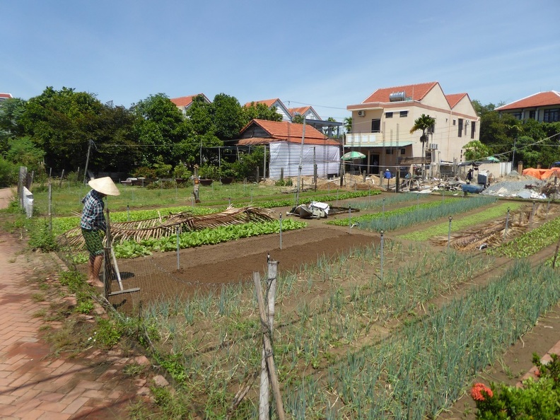 hoi-an-farm-vege-fish-010