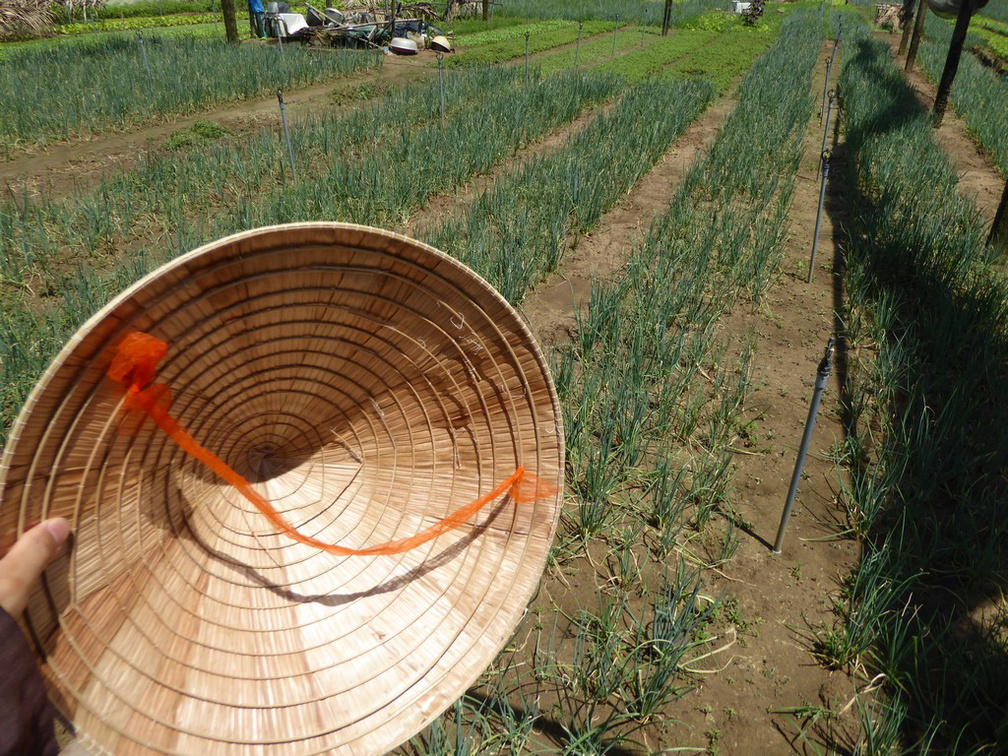 hoi-an-farm-vege-fish-018