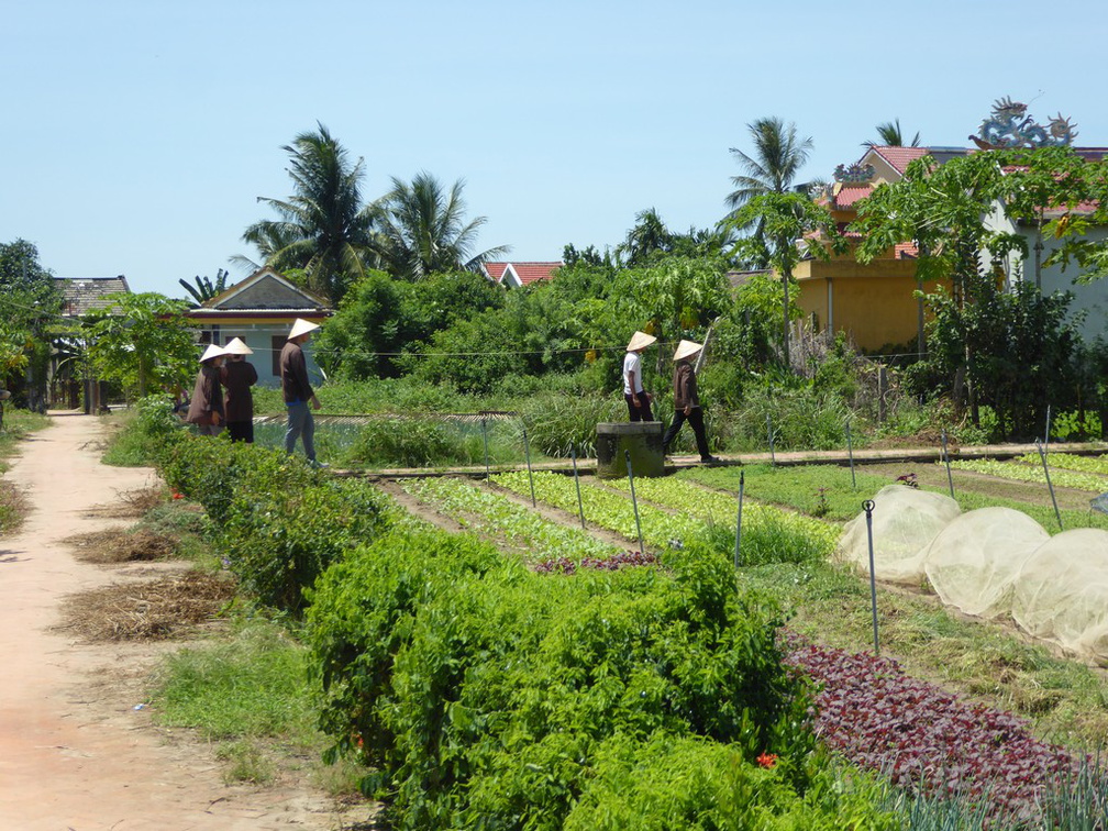 hoi-an-farm-vege-fish-022