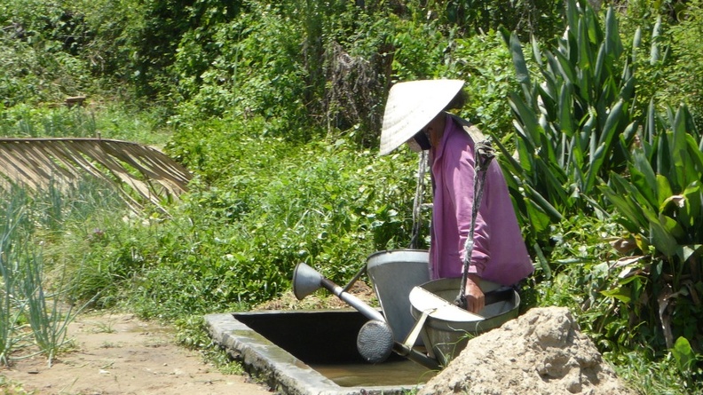 hoi-an-farm-vege-fish-023