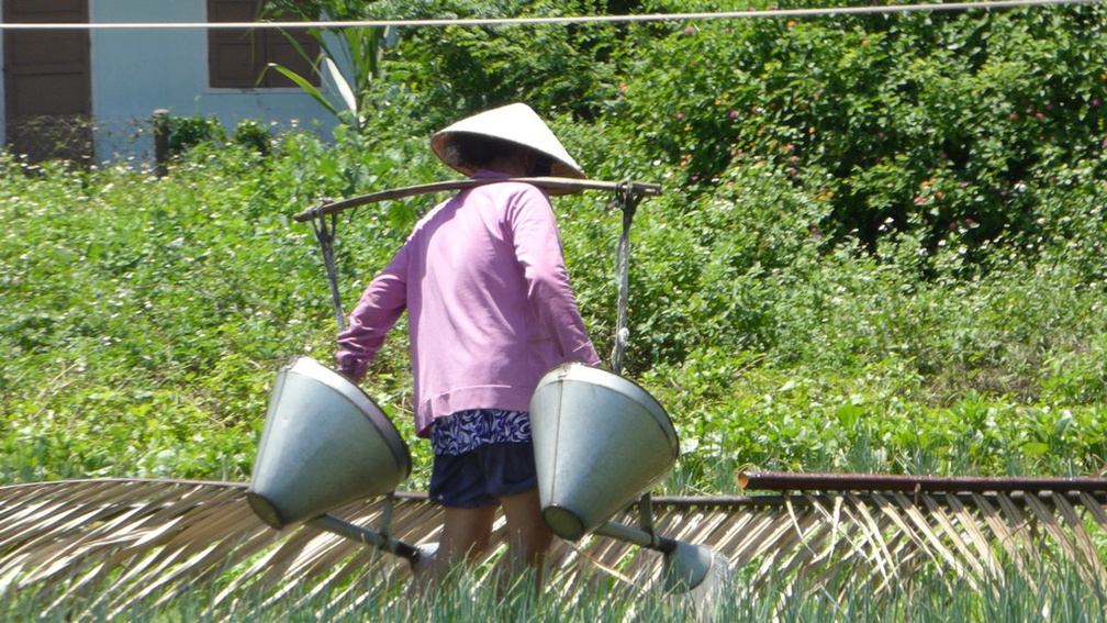 hoi-an-farm-vege-fish-024