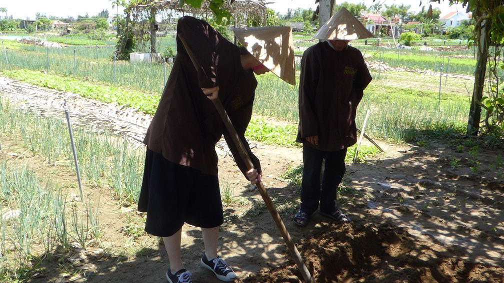 hoi-an-farm-vege-fish-030