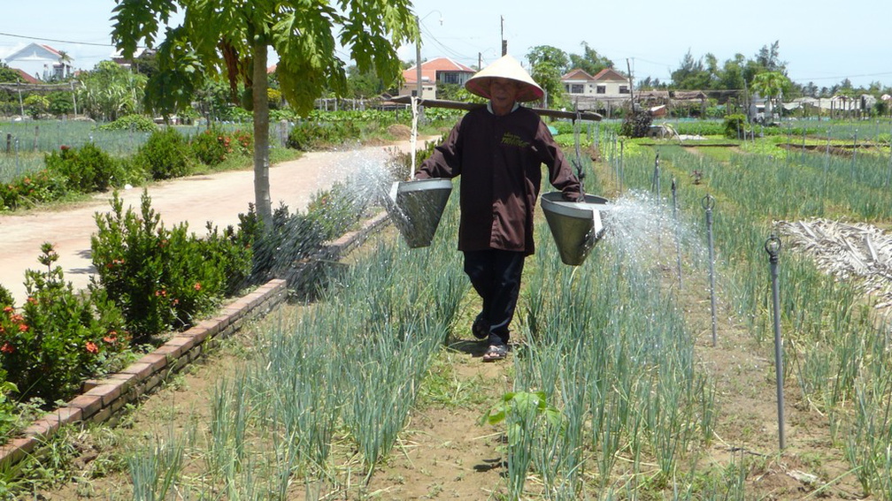 hoi-an-farm-vege-fish-037