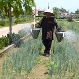 hoi-an-farm-vege-fish-037