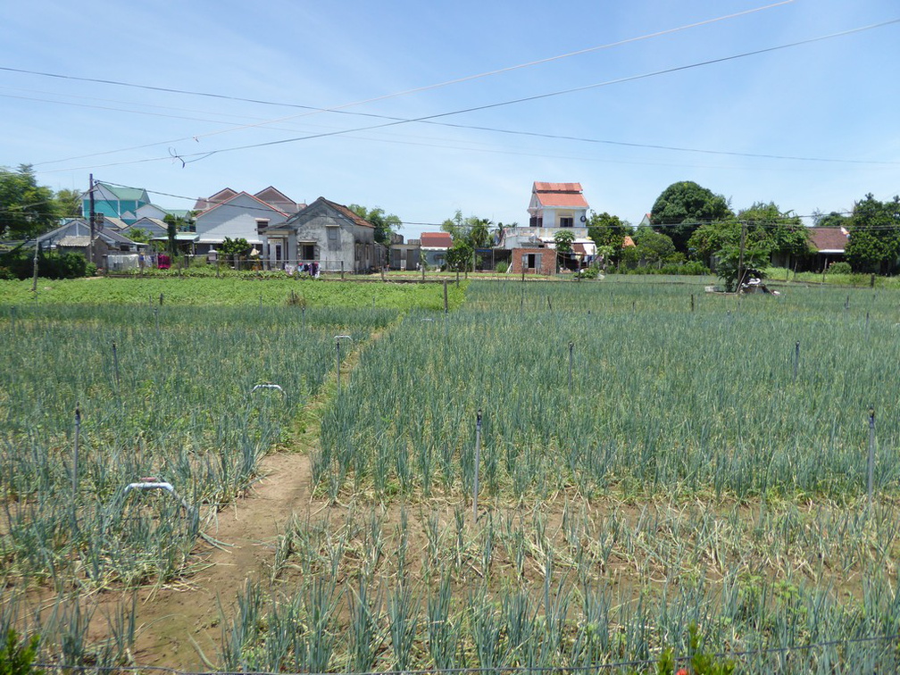 hoi-an-farm-vege-fish-039