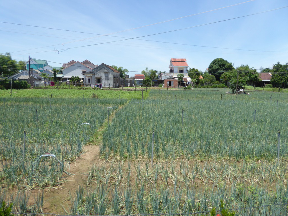 hoi-an-farm-vege-fish-039