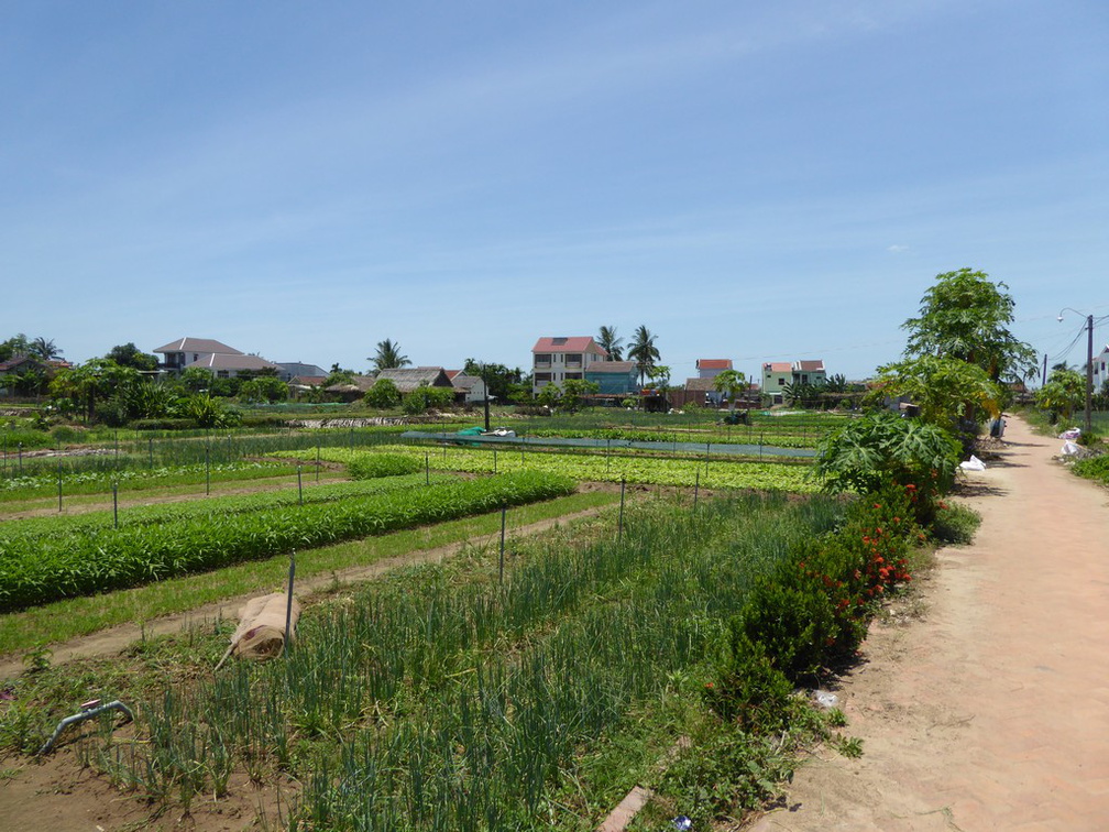 hoi-an-farm-vege-fish-043