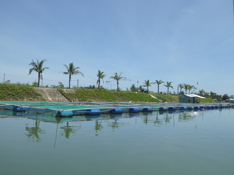 hoi-an-farm-vege-fish-052