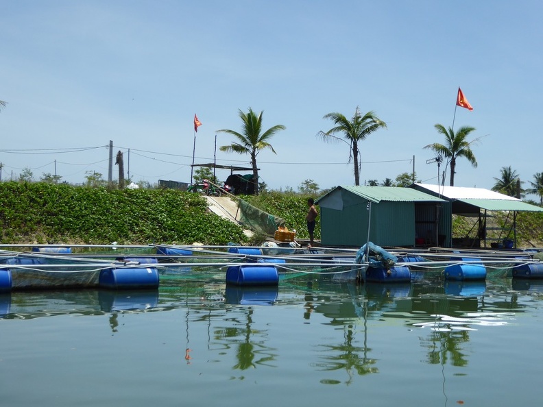 hoi-an-farm-vege-fish-053