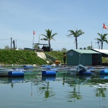 hoi-an-farm-vege-fish-053