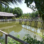 hoi-an-farm-vege-fish-083