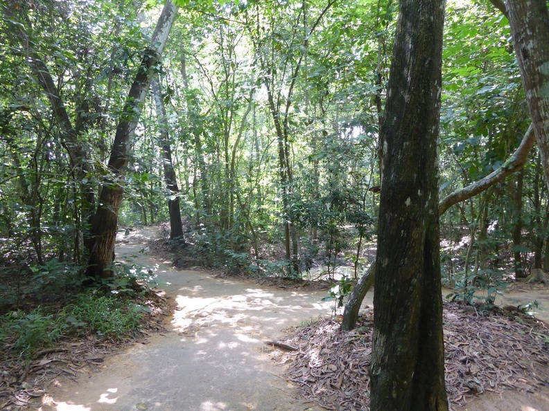 cu-chi-tunnels-vietnam-011