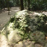 cu-chi-tunnels-vietnam-024